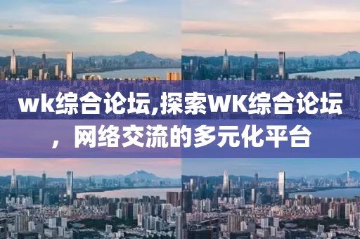 wk综合论坛,探索WK综合论坛，网络交流的多元化平台