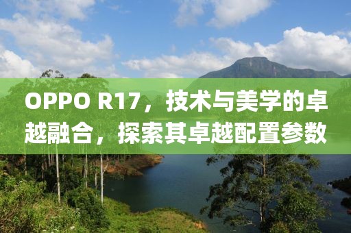 OPPO R17，技术与美学的卓越融合，探索其卓越配置参数
