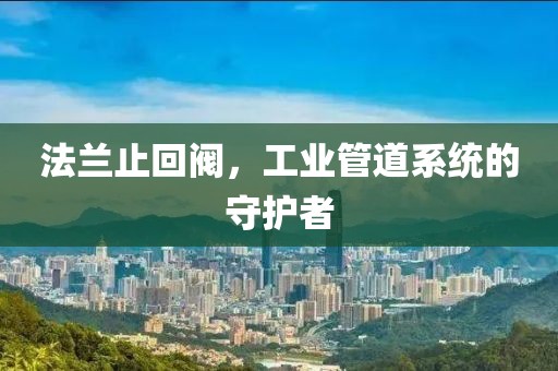 法兰止回阀