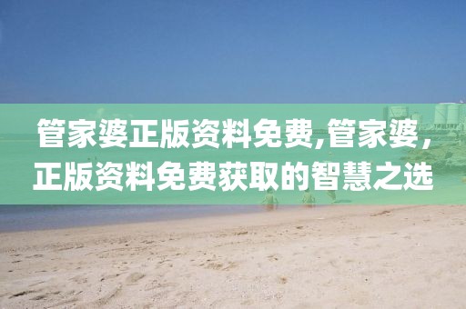 管家婆正版资料免费,管家婆，正版资料免费获取的智慧之选