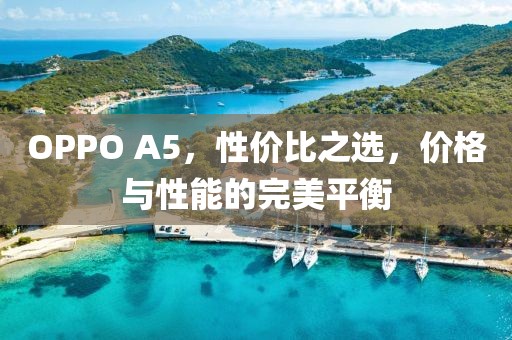 OPPO A5，性价比之选，价格与性能的完美平衡