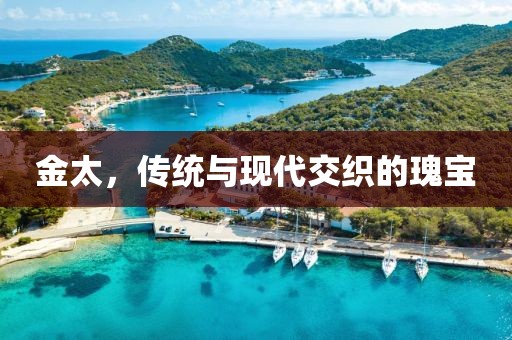 金太，传统与现代交织的瑰宝
