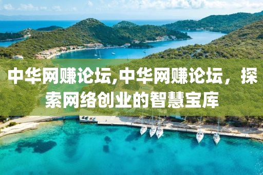 中华网赚论坛,中华网赚论坛，探索网络创业的智慧宝库