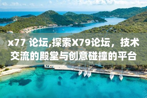x77 论坛,探索X79论坛，技术交流的殿堂与创意碰撞的平台