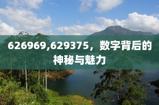 626969,629375，数字背后的神秘与魅力