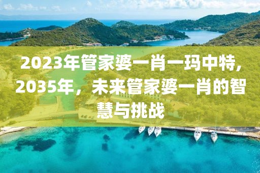 2023年管家婆一肖一玛中特,2035年，未来管家婆一肖的智慧与挑战