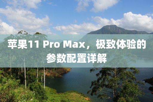 苹果11 Pro Max，极致体验的参数配置详解