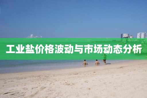市场动态分析
