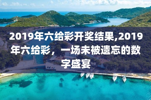 2019年六给彩开奖结果,2019年六给彩，一场未被遗忘的数字盛宴