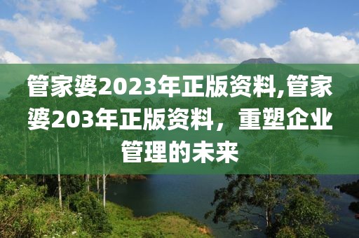 管家婆2023年正版资料,管家婆203年正版资料，重塑企业管理的未来