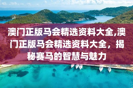 澳门正版马会精选资料大全