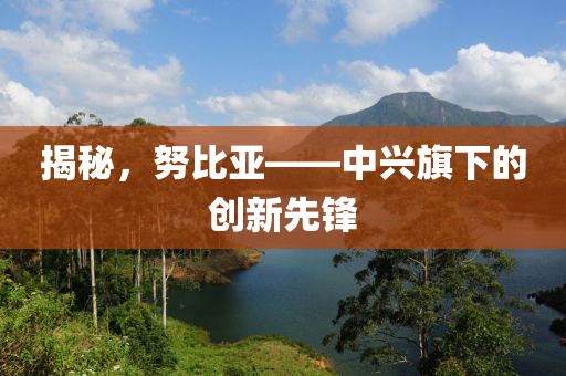 揭秘，努比亚——中兴旗下的创新先锋