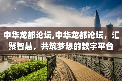 中华龙都论坛,中华龙都论坛，汇聚智慧，共筑梦想的数字平台