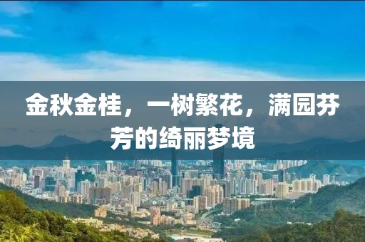 金秋金桂，一树繁花，满园芬芳的绮丽梦境
