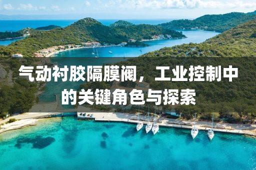 气动衬胶隔膜阀，工业控制中的关键角色与探索