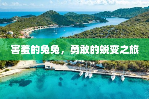 害羞的兔兔，勇敢的蜕变之旅