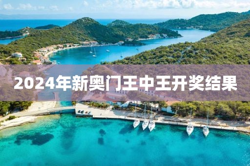 2024年新奥门王中王开奖结果