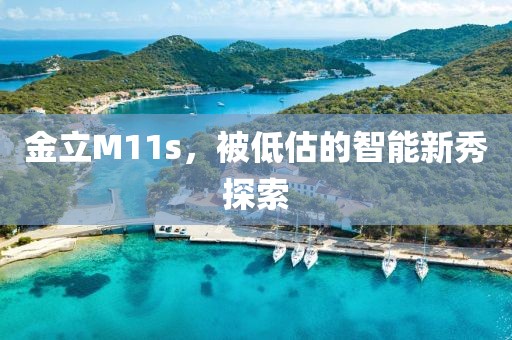 智能新秀