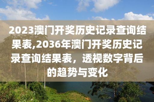 2023澳门开奖历史记录查询结果表,2036年澳门开奖历史记录查询结果表，透视数字背后的趋势与变化