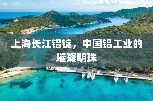 上海长江铝锭