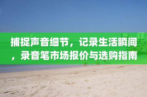 捕捉声音细节，记录生活瞬间，录音笔市场报价与选购指南