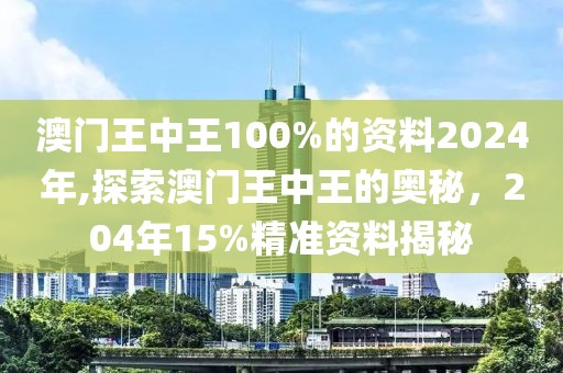 澳门王中王100%的资料2024年,探索澳门王中王的奥秘，204年15%精准资料揭秘