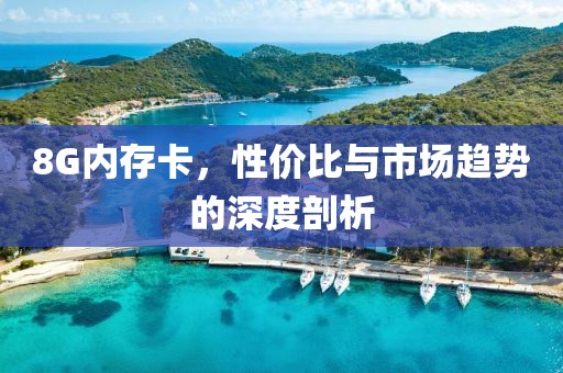 8G内存卡，性价比与市场趋势的深度剖析
