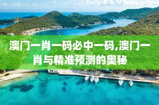 澳门一肖一码必中一码,澳门一肖与精准预测的奥秘