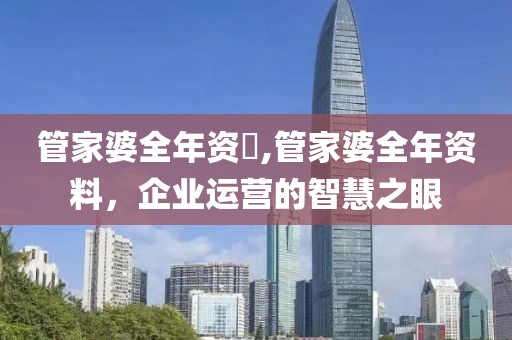 管家婆全年资枓,管家婆全年资料，企业运营的智慧之眼