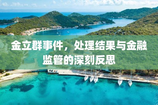 金立群事件，处理结果与金融监管的深刻反思