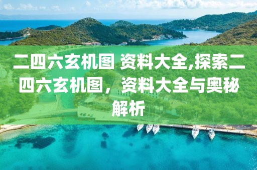 二四六玄机图 资料大全,探索二四六玄机图，资料大全与奥秘解析