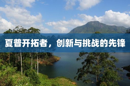 夏普开拓者，创新与挑战的先锋