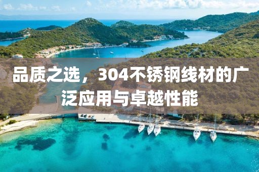 品质之选，304不锈钢线材的广泛应用与卓越性能