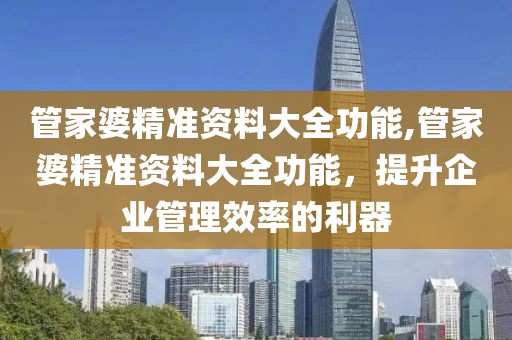 管家婆精准资料大全功能,管家婆精准资料大全功能，提升企业管理效率的利器