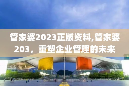 管家婆2023正版资料,管家婆203，重塑企业管理的未来