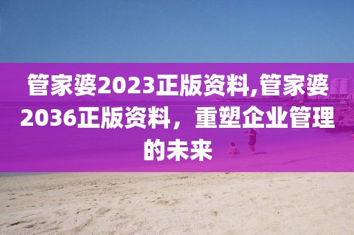管家婆2023正版资料,管家婆2036正版资料，重塑企业管理的未来