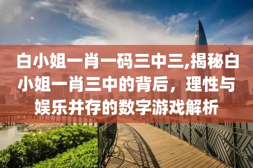 白小姐一肖一码三中三,揭秘白小姐一肖三中的背后，理性与娱乐并存的数字游戏解析