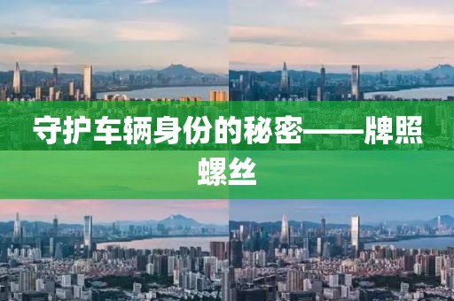 守护车辆身份的秘密——牌照螺丝
