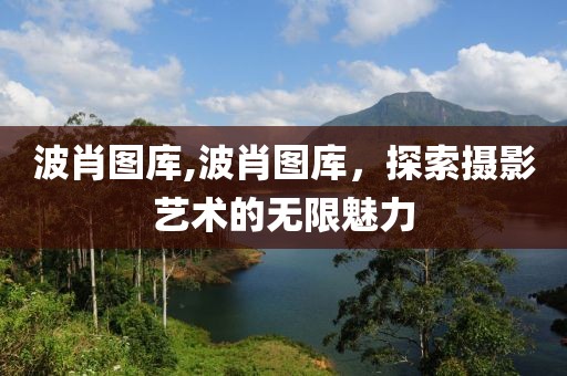 波肖图库,波肖图库，探索摄影艺术的无限魅力