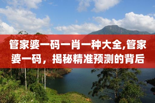 管家婆一码一肖一种大全,管家婆一码，揭秘精准预测的背后