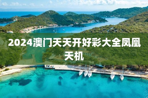 2024澳门天天开好彩大全凤凰天机