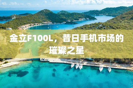 金立F100L，昔日手机市场的璀璨之星