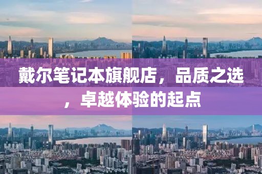 戴尔笔记本旗舰店，品质之选，卓越体验的起点