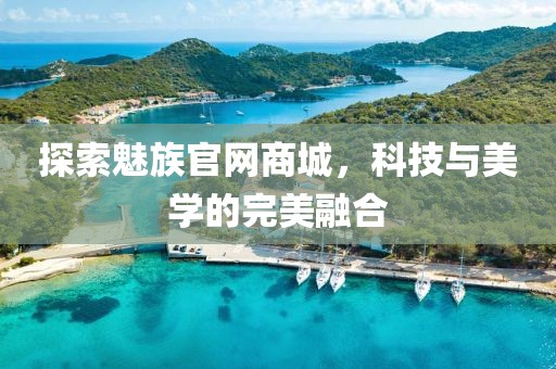 探索魅族官网商城，科技与美学的完美融合