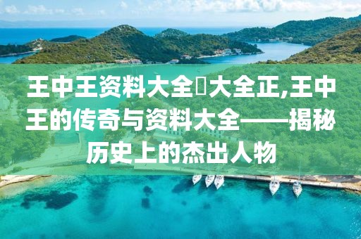 王中王资料大全枓大全正,王中王的传奇与资料大全——揭秘历史上的杰出人物