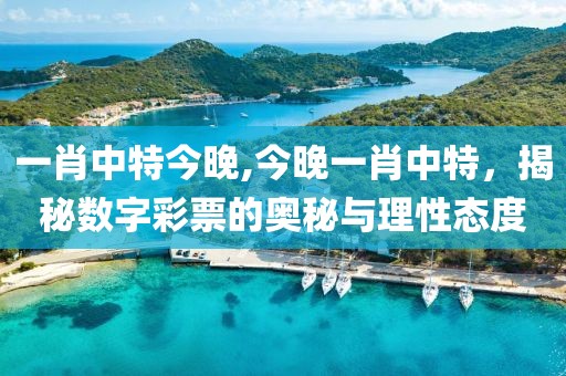一肖中特今晚,今晚一肖中特，揭秘数字彩票的奥秘与理性态度