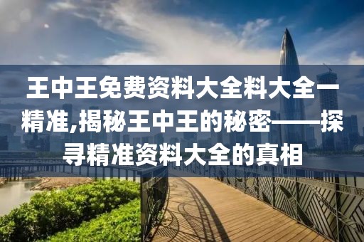 王中王免费资料大全料大全一精准,揭秘王中王的秘密——探寻精准资料大全的真相