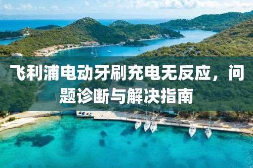 飞利浦电动牙刷充电无反应，问题诊断与解决指南