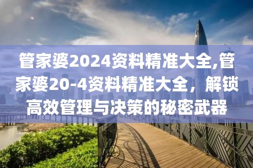 管家婆2024资料精准大全,管家婆20-4资料精准大全，解锁高效管理与决策的秘密武器