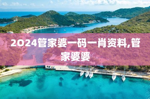 2O24管家婆一码一肖资料,管家婆婆